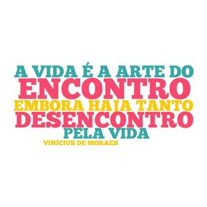 ARTE DO ENCONTRO VINICIUS