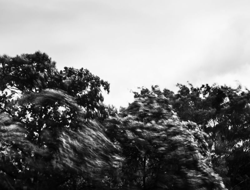 WINDY