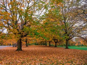 HYDE AUTUMN LEAVES