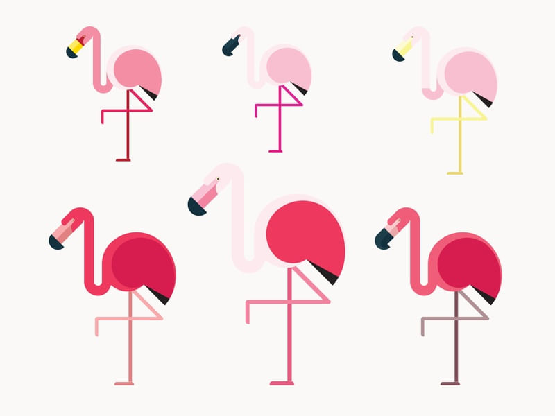 FLAMINGOS DO MUNDO