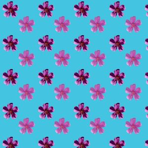 FLORPOP