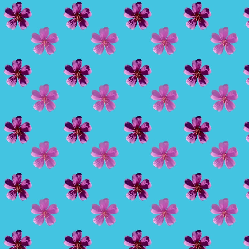 FLORPOP