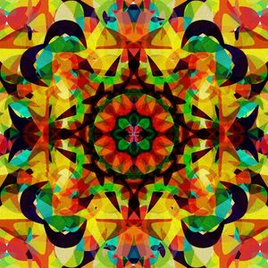 TROPICAL TRIBE