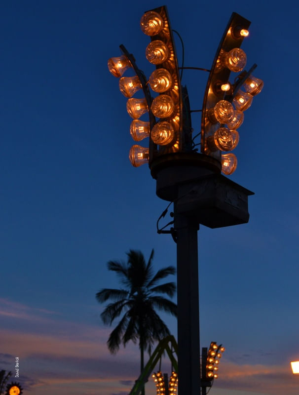 AMUSEMENT PARK I (NIGHT LIGHTS)