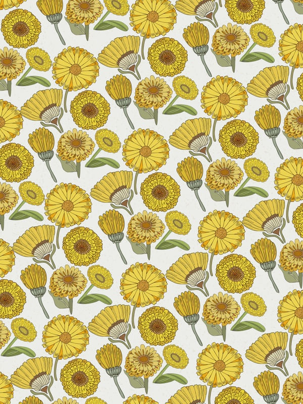 VINTAGE CALENDULA
