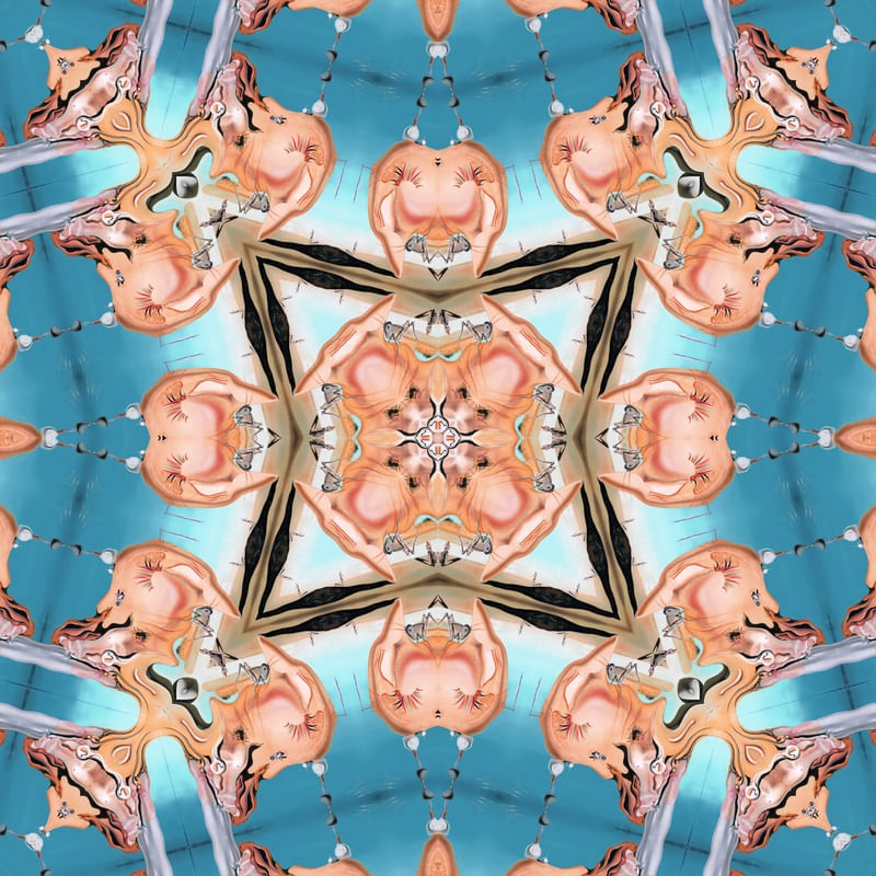 FACES DE DALI