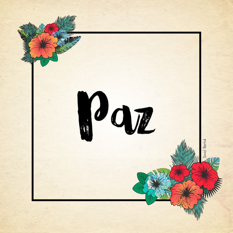 PAZ E AMOR E HARMONIA (PAZ)