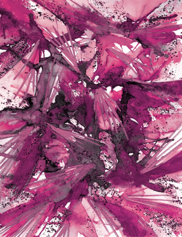 BIRDS OF PREY - MAGENTA PURPLE