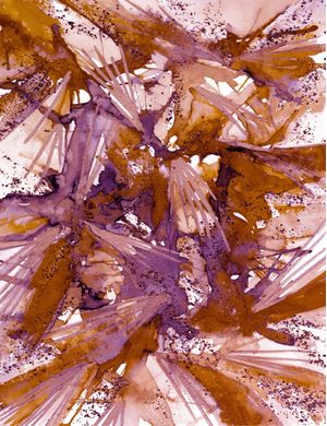 BIRDS OF PREY - MAUVE TAN