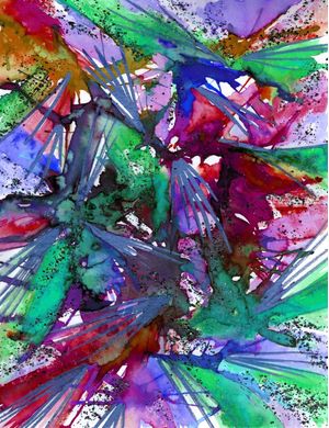 BIRDS OF PREY - RAINBOW 2
