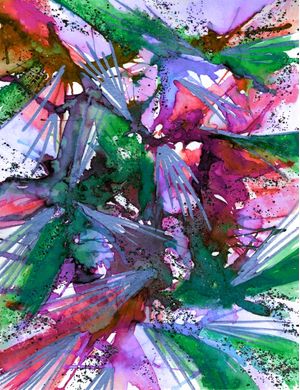 BIRDS OF PREY - TROPICAL 3