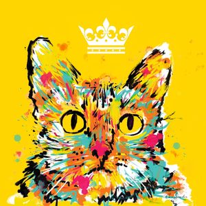 GATO CORES 1