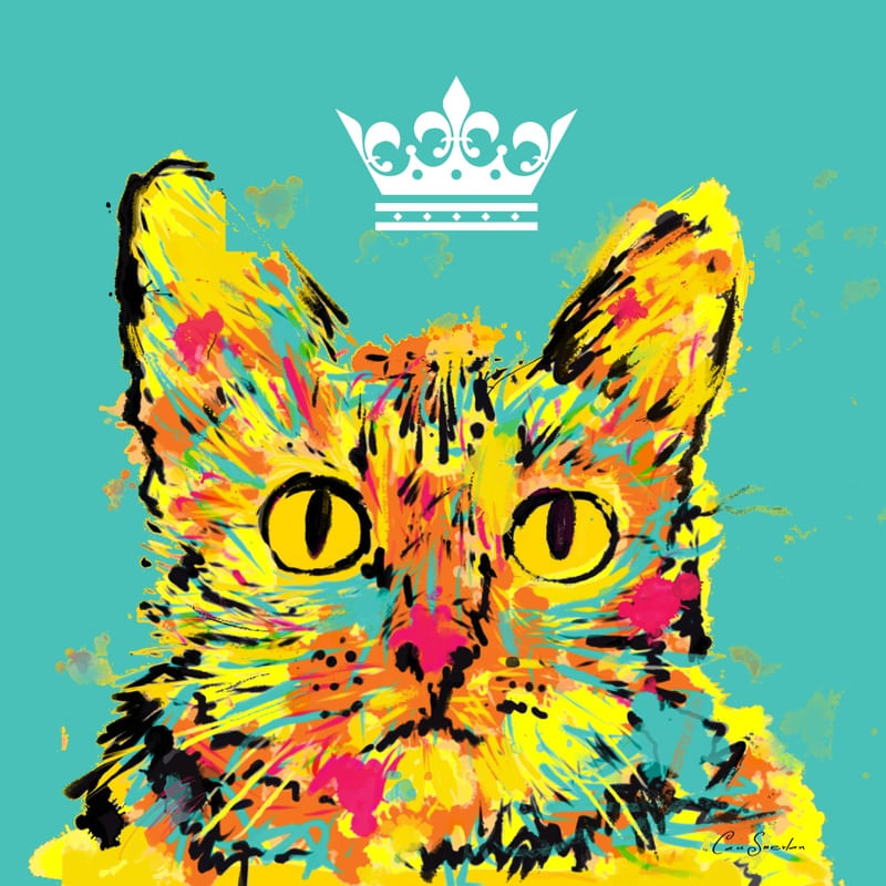 GATO CORES 4