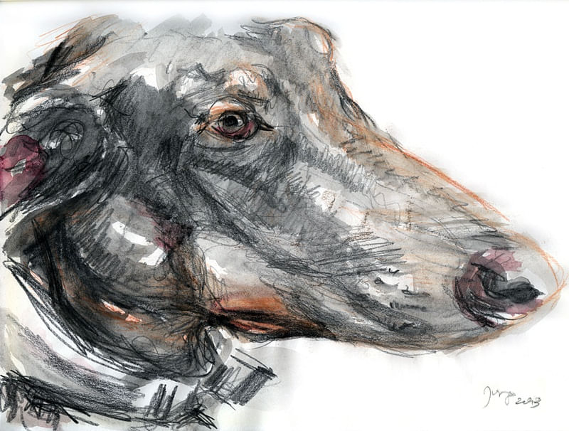 WOLF DOBERMANN