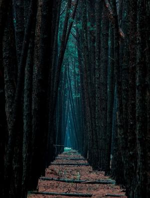MYSTERY