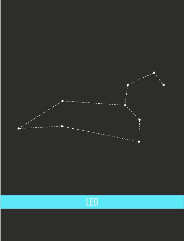 LEO! TVR
