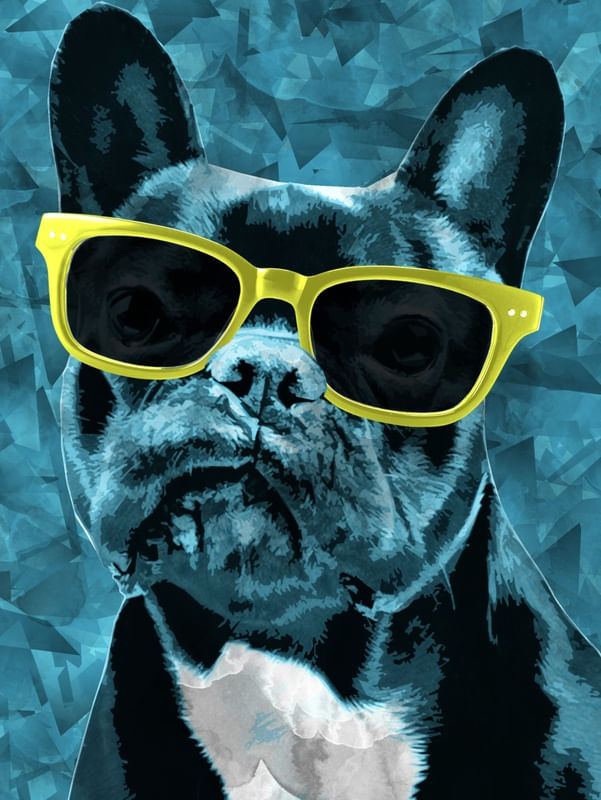 DOGSTYLE