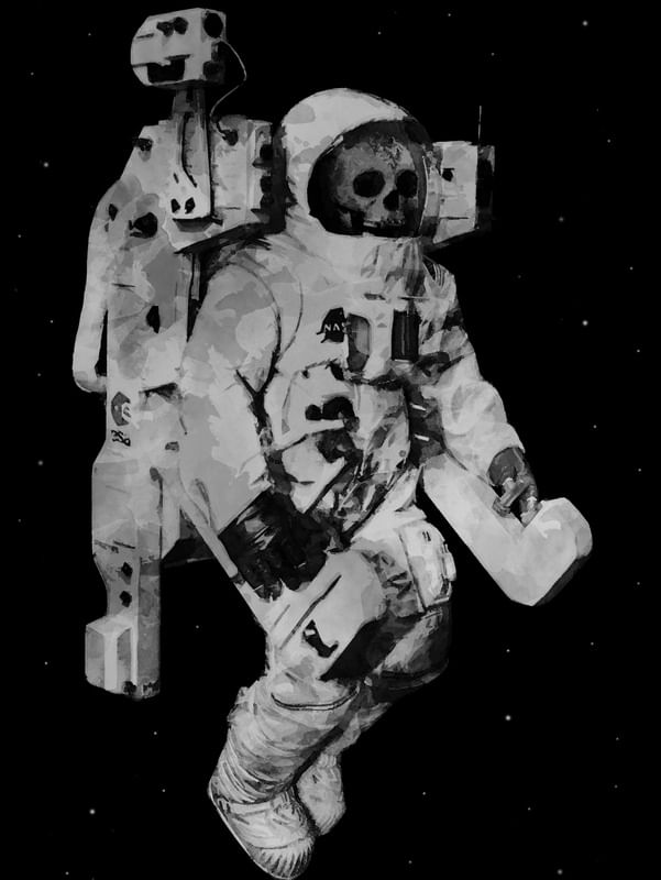 THE COSMONAUT