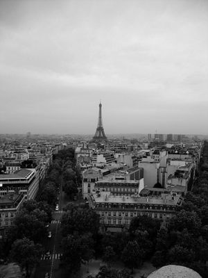 PARIS VIEW