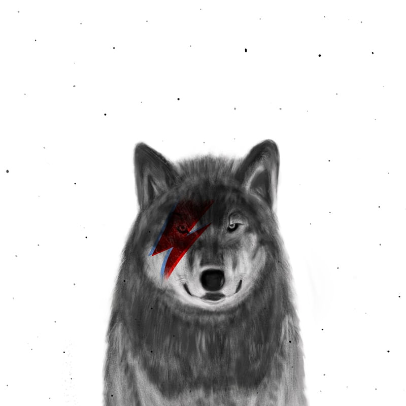 WOLF BOWIE