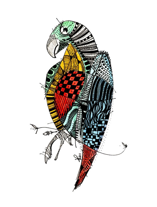 ARARA DE BOLSO