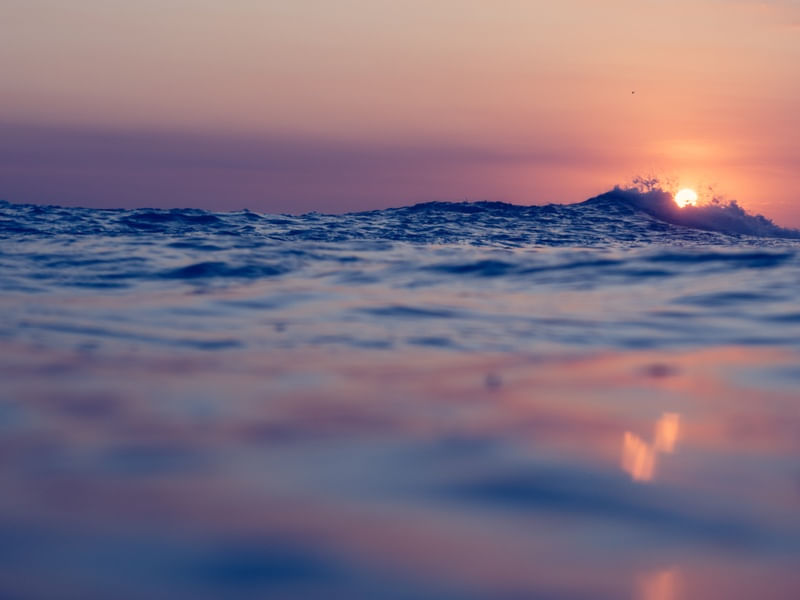 SUNSET SPLASH
