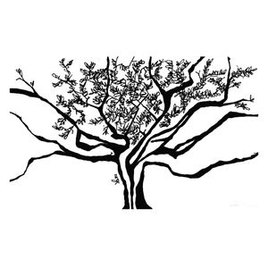 SHADOW TREE