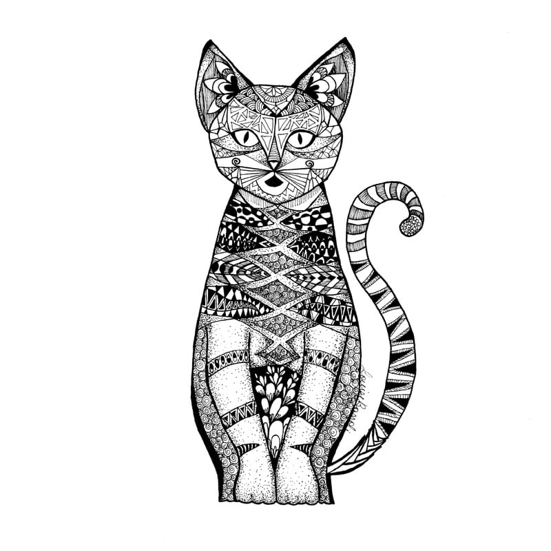 KITTY KAT