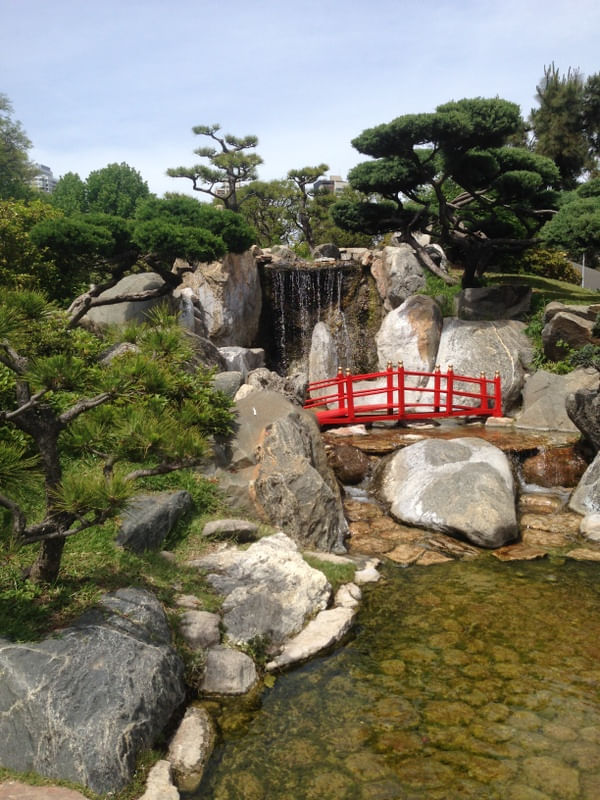 JARDIN JAPONÉ
