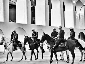 CAVALARIA