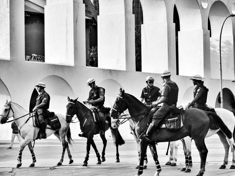 CAVALARIA