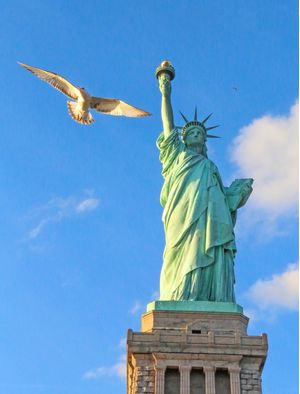LIBERTY NYC