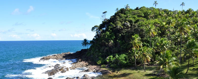 TERRA BRASIL