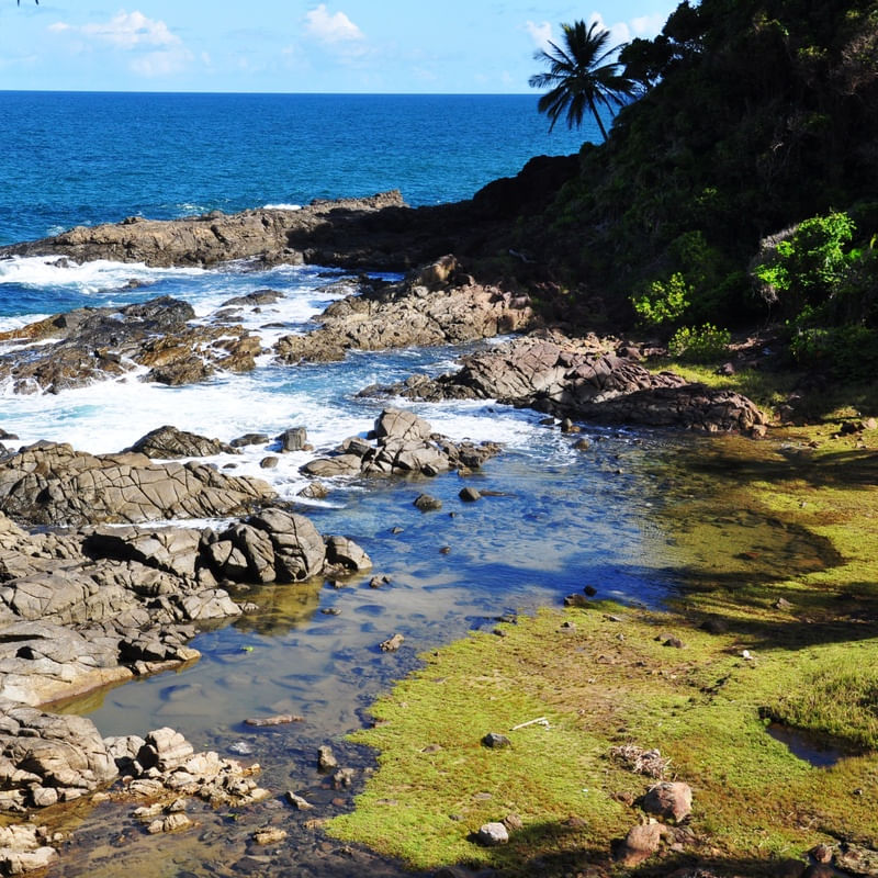 BRASIL PRAIANO II