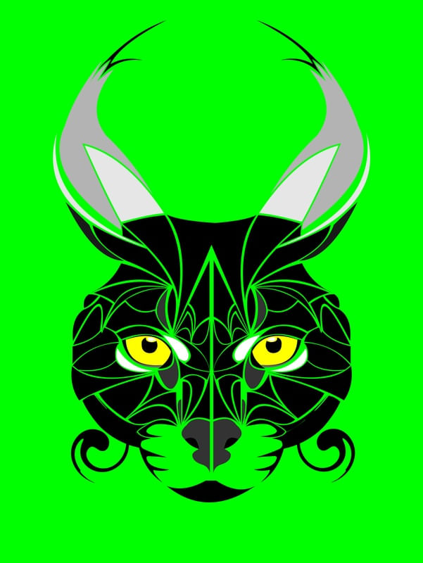 ABSTRACT LINCE