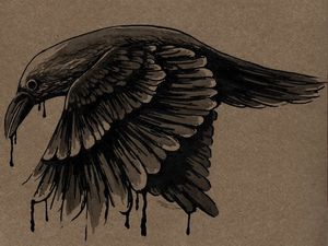 CORVO 1
