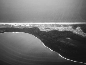 FORMAS NATURAIS
