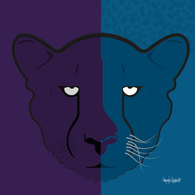 CHEETAH 1