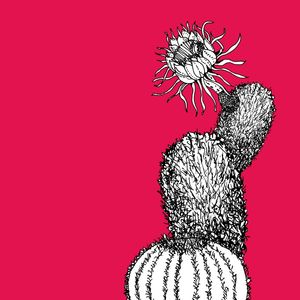 CACTU 1.3