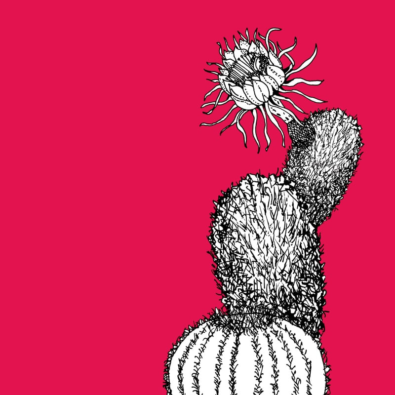 CACTU 1.3