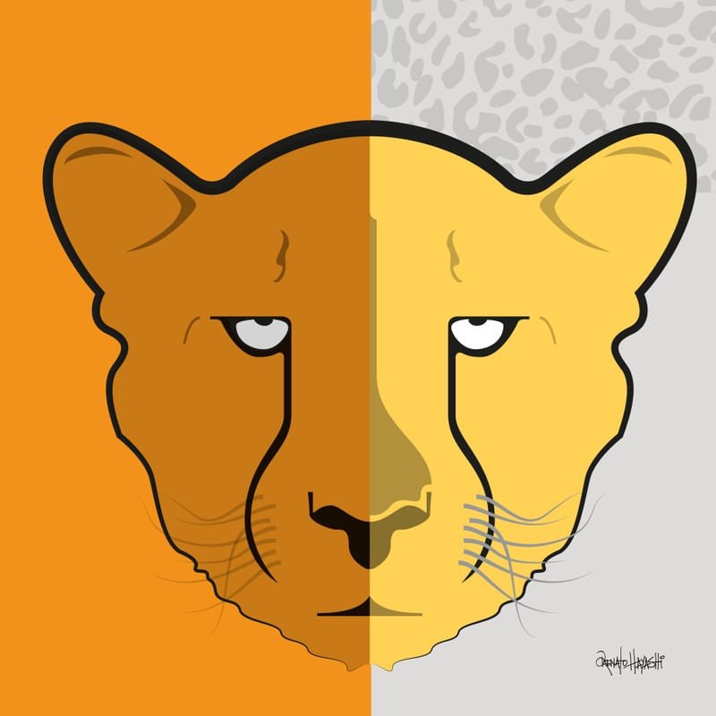 CHEETAH 2