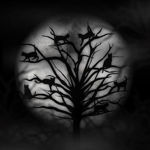 TREE DREAMS