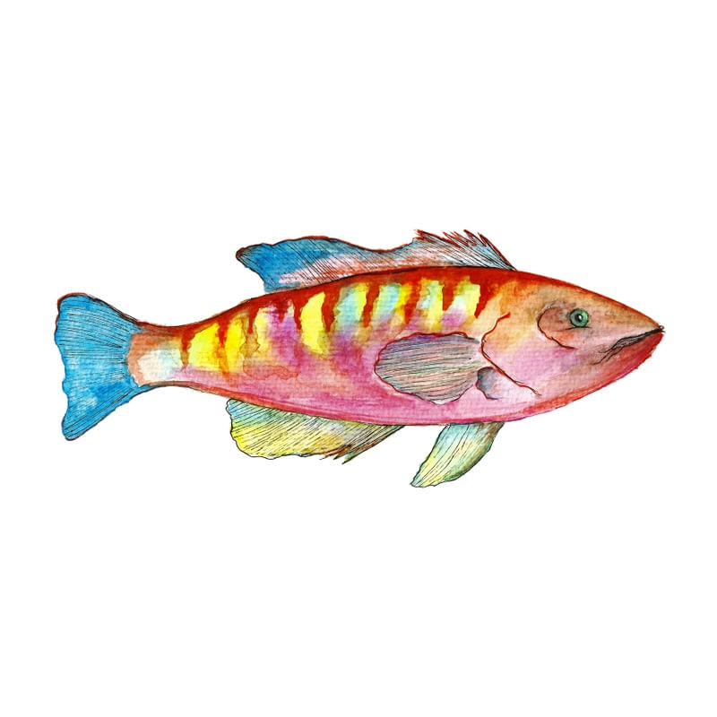 PESCE