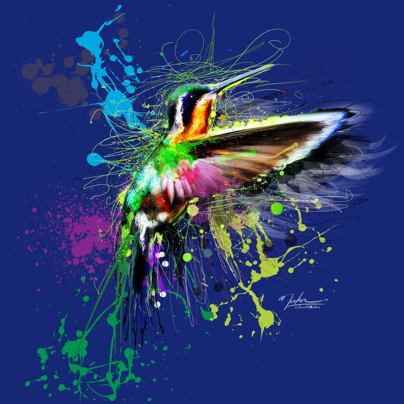 COLIBRI ART
