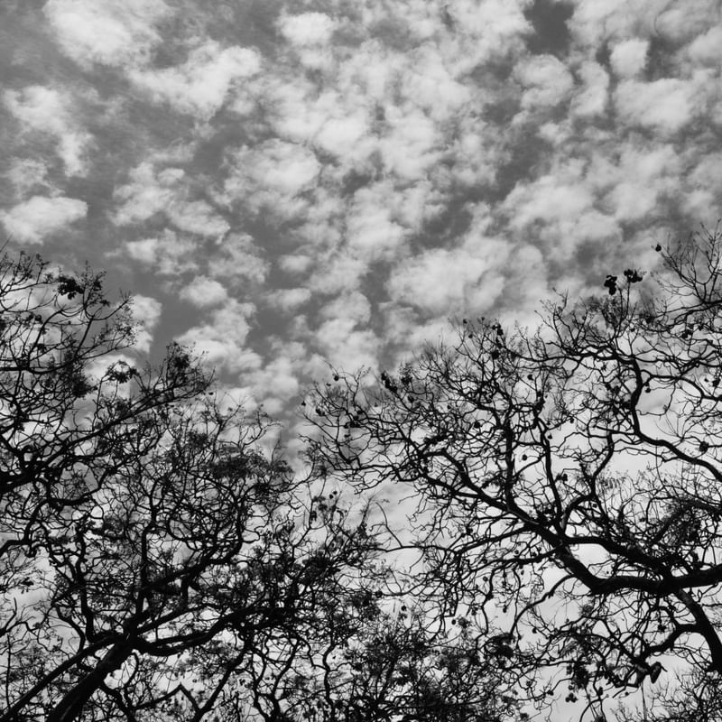 AO CÉU