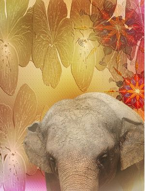 ELEFANTE BI