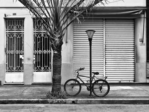 PORTAS...
