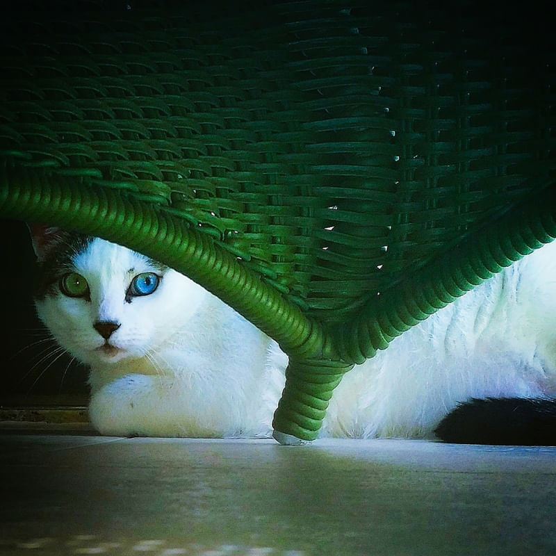 MIA MARBLE