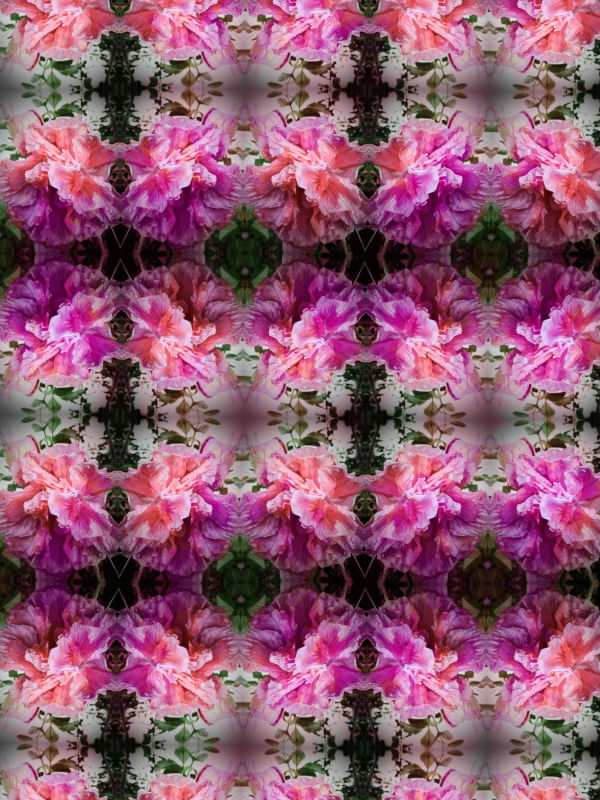 FLORAL 01