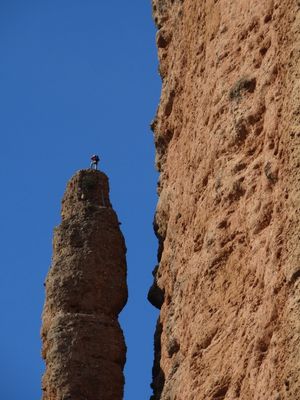 ALPINISTA